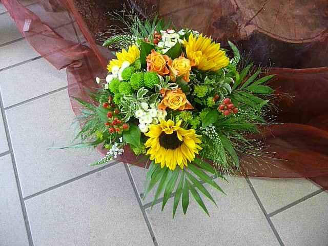 Holland Blumen – Blumen & Pflanzen